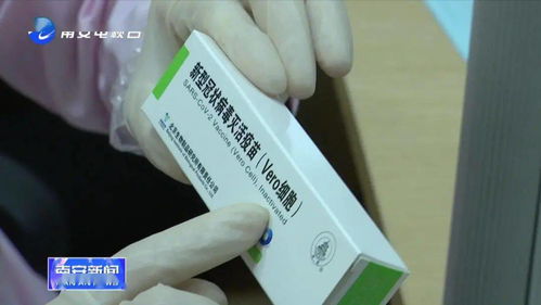 南安超1.7萬(wàn)人打完新冠疫苗第一針 附 重點(diǎn)人群接種預(yù)約咨詢電話